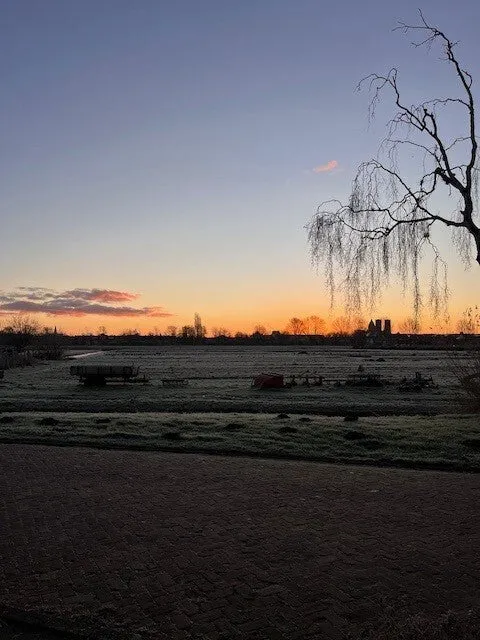 Witte van Haemstedelaan - Haarlem